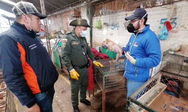 Rescate animales en El Potrerillo - marzo de 2020