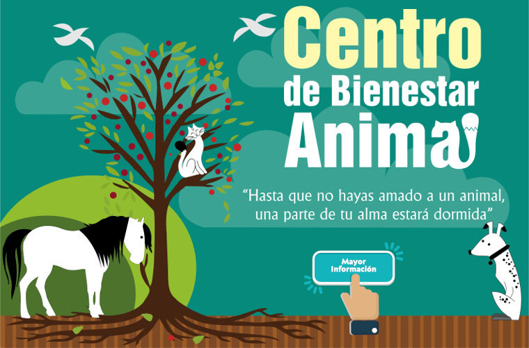 Centro de Bienestar Animal - Pasto