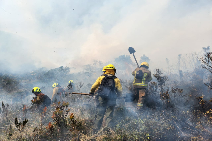 labores para atender y controlar el incendio que se registró el pasado domingo en el Santuario de Flora y Fauna en el Volcán Galeras