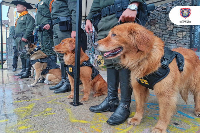 Alcaldía Municipal y Policía Metropolitana realizaron el lanzamiento del Escuadrón Canino Anti Pólvora, ESCAP