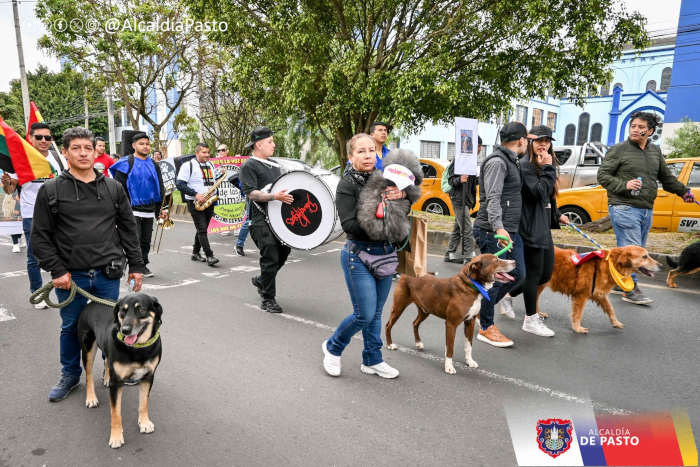 Alcaldía de Pasto lidera procesos institucionales para la protección y cuidado de los animales