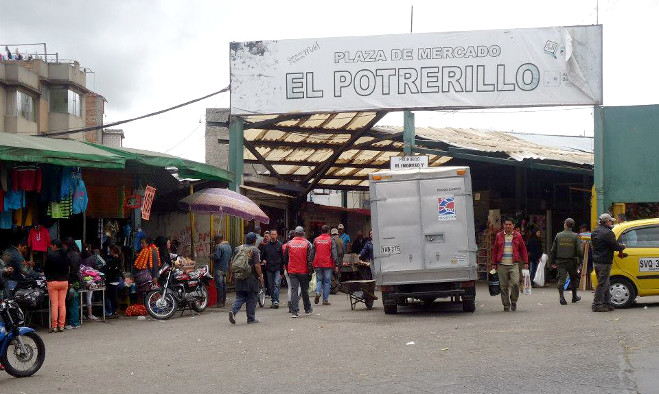 Potrerillo Pasto - 2013