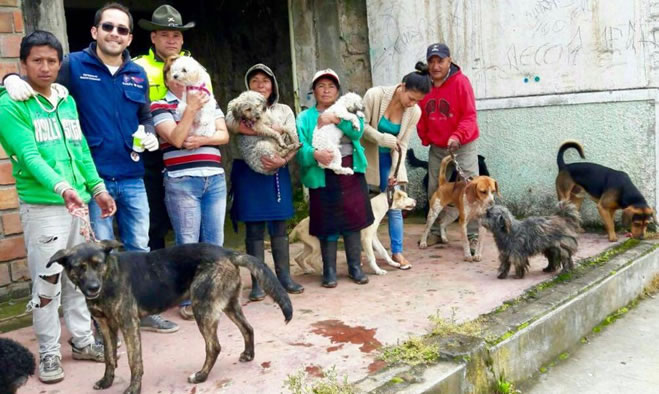 Segunda jornada de esterilización canina y felina en Pasto