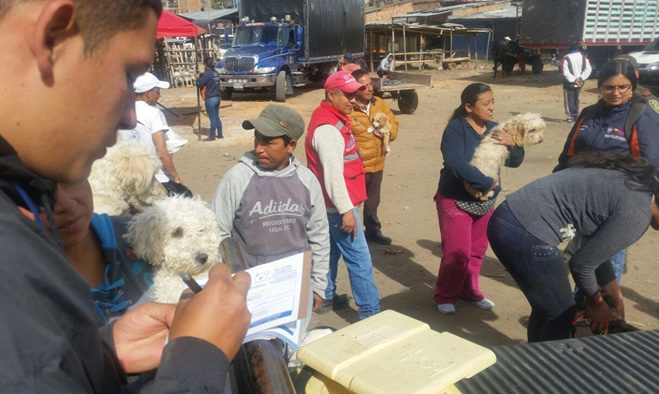 Jornada de vacunación de mascotas - Dirección de Plazas de Mercado
