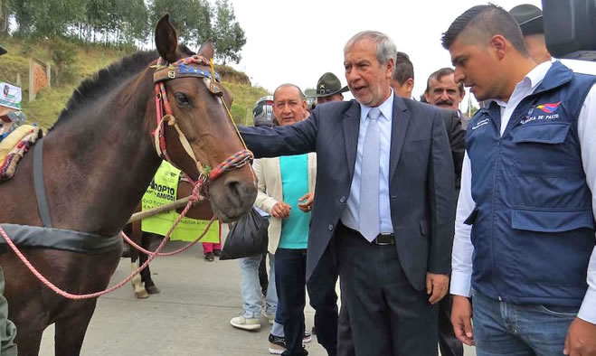 Alcaldía de Pasto es finalista en el Premio Nacional Colombia Participa 2018