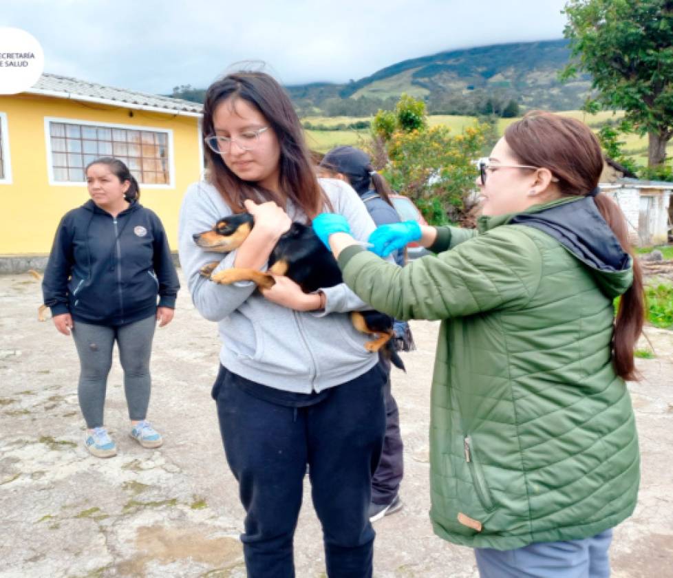 Secretaría de Salud lidera jornadas de vacunación antirrábica gratuita a domicilio para perros y gatos