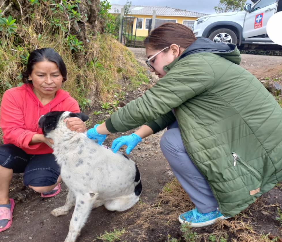 Secretaría de Salud adelantará nuevas jornadas de vacunación antirrábica gratuitas para perros y gatos en el CAM Anganoy