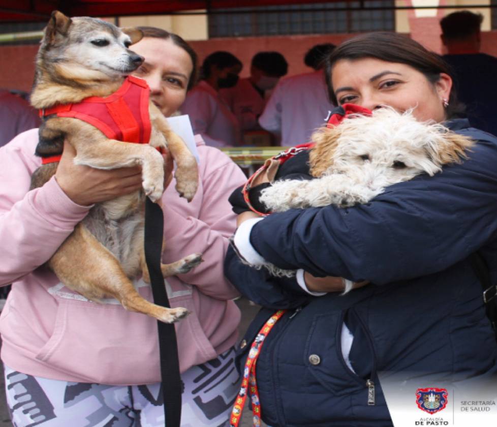 En plazoleta de Santiago, se cumplió bendición de mascotas, vacunación antirrábica y sensibilización Pasto Mejor Sin Pólvora
