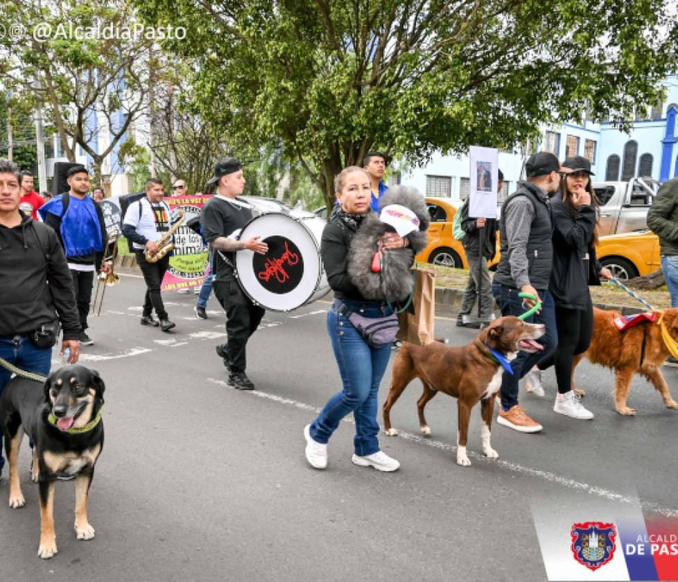 Alcaldía de Pasto lidera procesos institucionales para la protección y cuidado de los animales